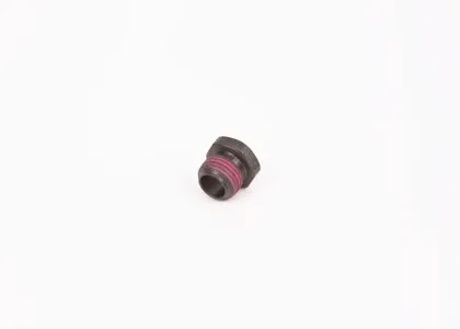 BOSCH 1423455010 Винт ТНВД BOSCH
