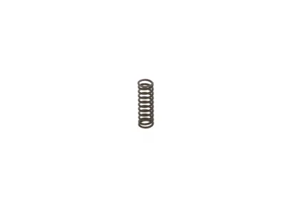 BOSCH 2444618006 Пружина