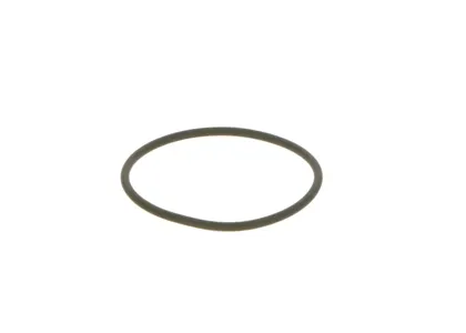 BOSCH F00N201306 Кольцо уплотнительное Daf MAN