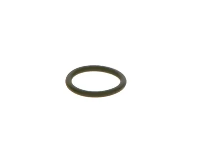 BOSCH F00RJ01452 Кольцо уплотнительное
