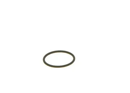 BOSCH F00VC38002 Уплотнительное кольцо
