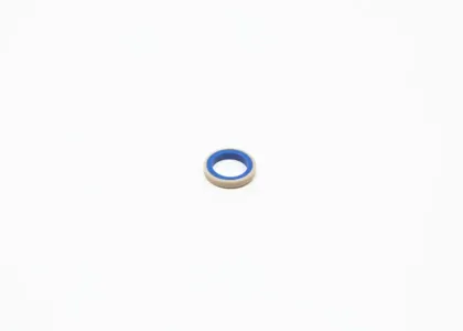 BOSCH F01M101537 Прокладка, рама основных фар
