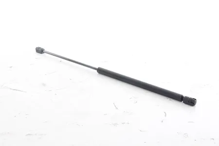 BSG BSG15980041 Амортизатор крышки багажника