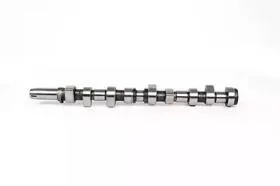 BSG BSG30108005 Распределительный вал Ford 1,8 Diesel 88~