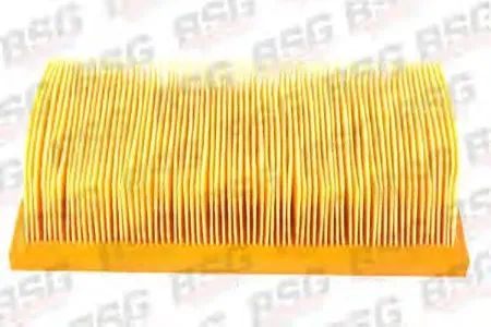 BSG BSG30135007 Воздушный фильтр