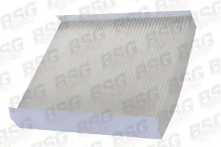 BSG BSG30145006 Фильтр салона Ford C-Max Galaxy , Volvo S40S80 all 04>