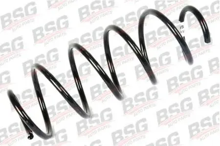 BSG BSG30305021 Пружина передняя