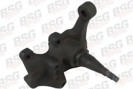 BSG BSG30330001 Кулак поворотный