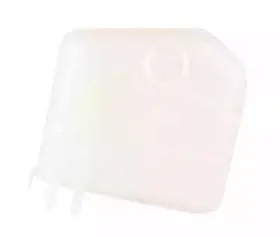 BSG BSG30550020 Бачок расширительный