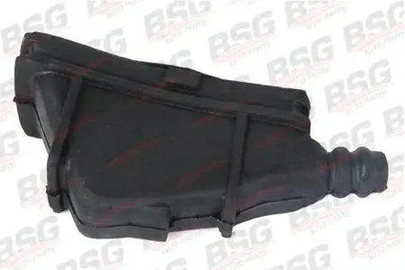 BSG BSG30700014 Пыльник FORD Transit (88-97) вилки сцепления BSG