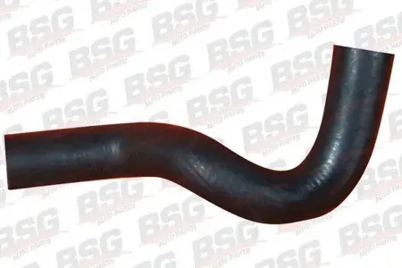 BSG BSG30720004 Шланг
