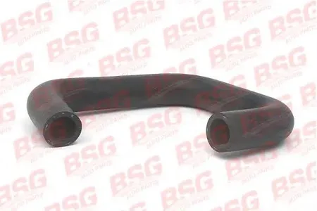 BSG BSG30720048 Шланг