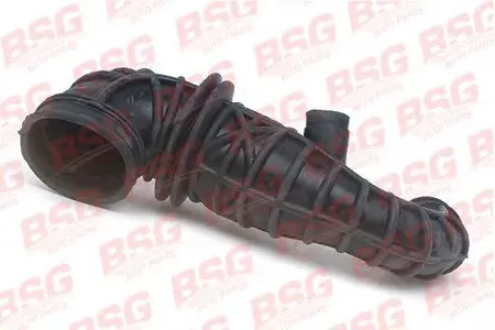 BSG BSG30720097 Патрубок воздушного фильтра Ford Transit Connect 1.8 TDCI 02>