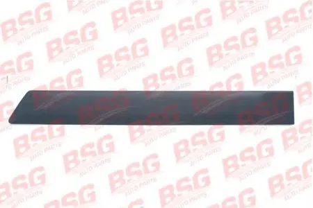 BSG BSG30924039 Молдинг FORD Fusion (05-) двери задней левой BSG