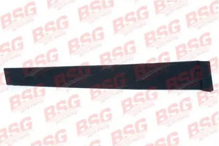 BSG BSG30925008 Накладка рамки стекла задней левой двери / FORD Fusion 02~