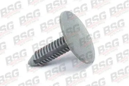 BSG BSG30995010 Клипса FORD TRANSIT V184-CONNECT BM 01->