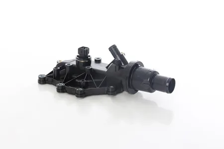 BSG BSG75126004 Термостат Renault Clio Megane Laguna 1.2-2.0i 02