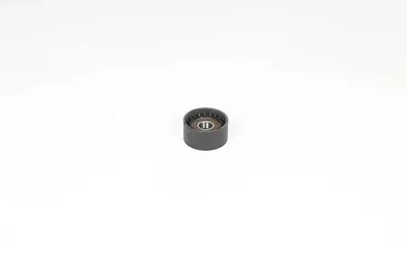 BSG BSG75615006 Ролик обводной