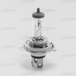 CARBERRY 31CA7 Лампа H4 12V (6055W) Day&Night