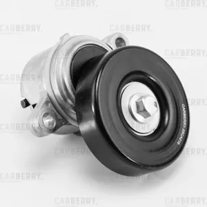 CARBERRY 55CA218 Натяжитель поликлин.ремня с роликом