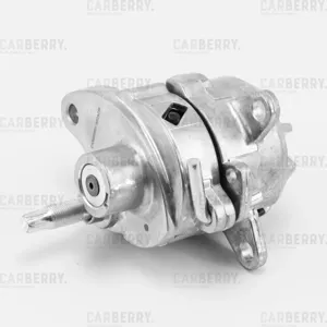 CARBERRY 55CA258 Натяжитель поликлин.ремня