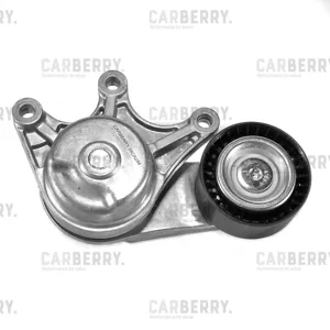 CARBERRY 55CA294 Натяжитель поликлин.ремня с роликом