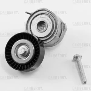CARBERRY 55CA300 Натяжитель поликлин.ремня с роликом