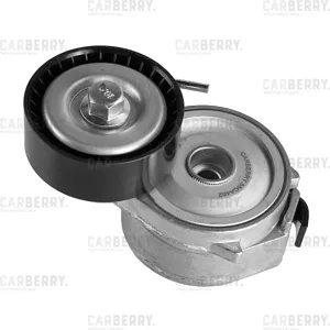 CARBERRY 55CA482 Натяжитель поликлин.ремня с роликом