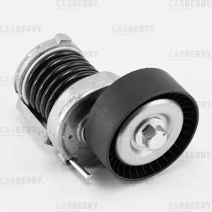CARBERRY 55CA57 Натяжитель ремня приводного Audi A2 Golf 4 Bora 1.4-1.6