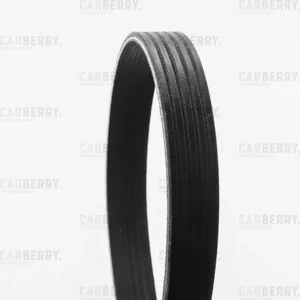 CARBERRY 5PK838 Ремень поликлиновой