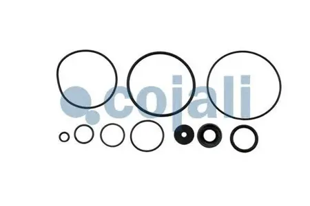 COJALI 6012033 Рк ускорительного клапана Scania