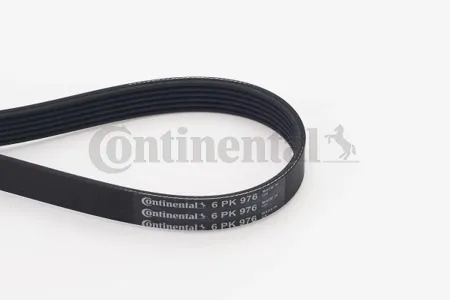 CONTINENTAL 6PK976 Ремень Continental Citroen Berlingo , C4, C5, Ford Fiesta , Focus , Mazda 3, Peugeot 206