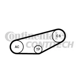 CONTITECH 4PK855K1 Комплект поликлинового ремня