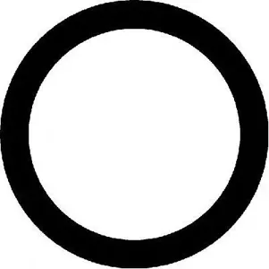 CORTECO 423102H Прокладка, впускной коллектор