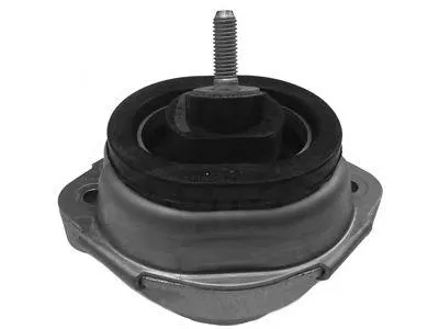 CORTECO 80001080 Подушка двигателя BMW X5 (E53) 00- 3.0 i