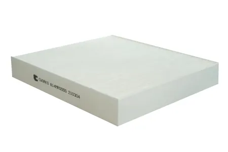 CWORKS B14MR0055 Фильтр салона пылевой