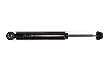 CWORKS F22GR0068 АМОРТИЗАТОР ЗАДНИЙ, GAS