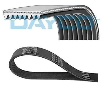 DAYCO 8PK2555HD Ремень поликлиновой 8PK2555