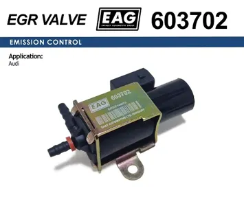 EAG 603702 Клапан VAG A3 Octavia Polo Golf IV Bora Sharan электромагнитный