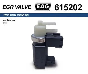 EAG 615202 Клапан Opel Renault Movano Vivaro Espace Laguna Master Megane Scenic Trafic 1.9-2.5 DCI электромагнитный
