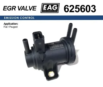 EAG 625603 Клапан рециркуляции  газов