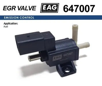 EAG 647007 Клапан VAG A5S5 Superb Passat Crafter Tiguan электромагнитный