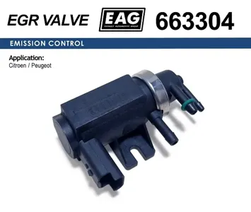 EAG 663304 Клапан PSA C4C5C8JUMPY307308407607 2.0HDI