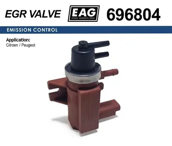 EAG 696804 Клапан рециркуляции газов