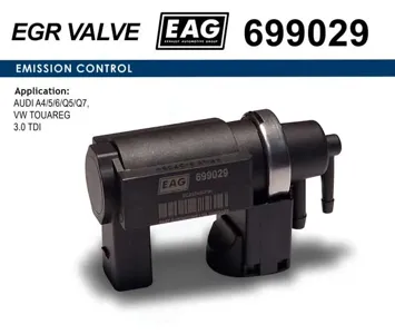 EAG 699029 Клапан электромагнитный 
