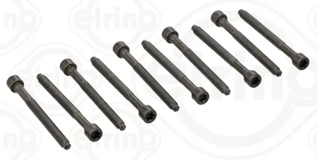 ELRING 325930 Комплект болтов  ГБЦ 10шт. VW Golf Passat , Audi A4A6 2.0TFSi 04>
