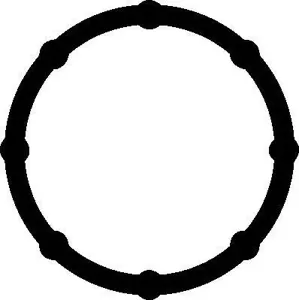 ELRING 331630 прокладка коллектора впускного (x4) Renault Laguna Espace Master 2.2DCi2.5DCi 00>