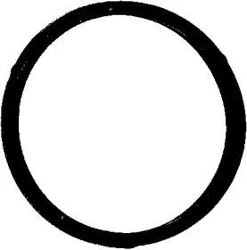 ELRING 447260 Кольцо уплотнительное Mercedes G III (W463)