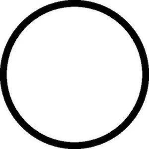 ELRING 497360 Прокл.впуск.кол-ра [min 4] Peugeot 206207307