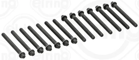 ELRING 802820 Болт головки блока цилиндров BMW 3,5,7,X3,X5 ( E46,E39,E60,E65 ) 90- 2.0-3.0 (компл.)